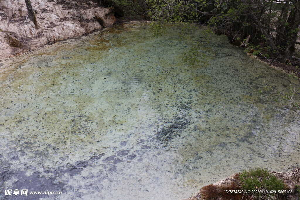 清澈山间溪流美景