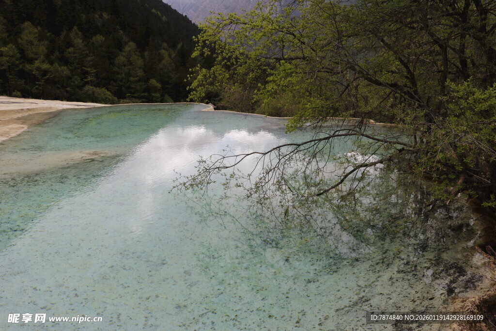清澈溪流中的水花飞溅
