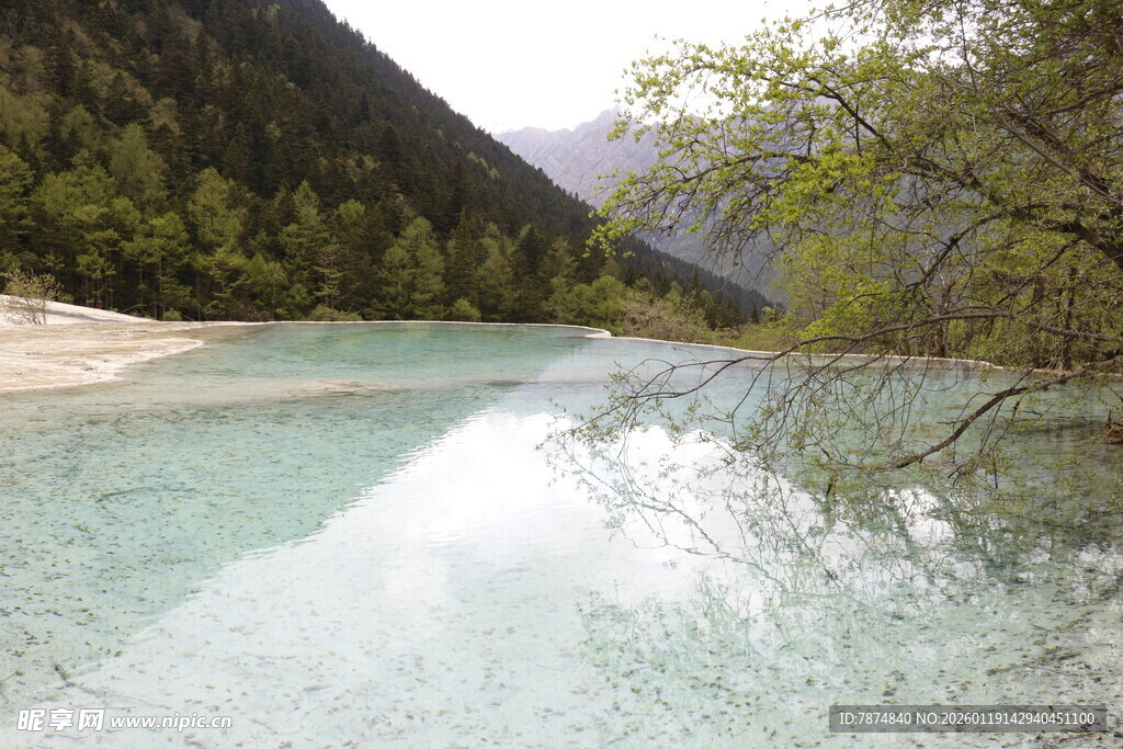 清澈河谷中的美丽山水景