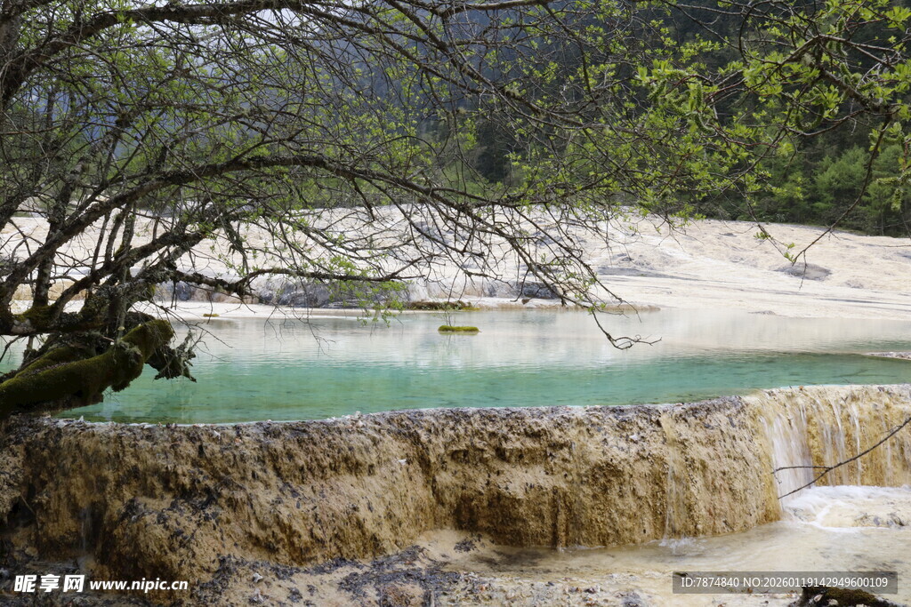 天然钙华池景观