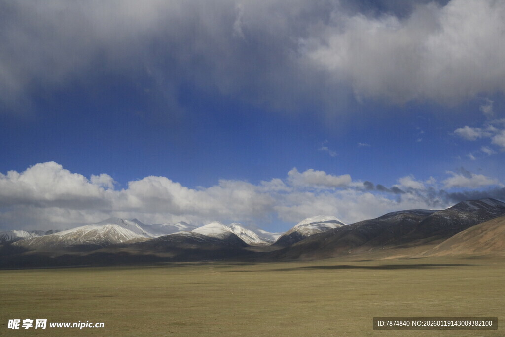 广袤草原与远处雪山景观