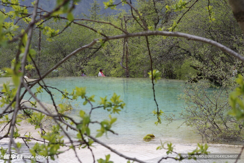 山间碧湖与葱郁树枝