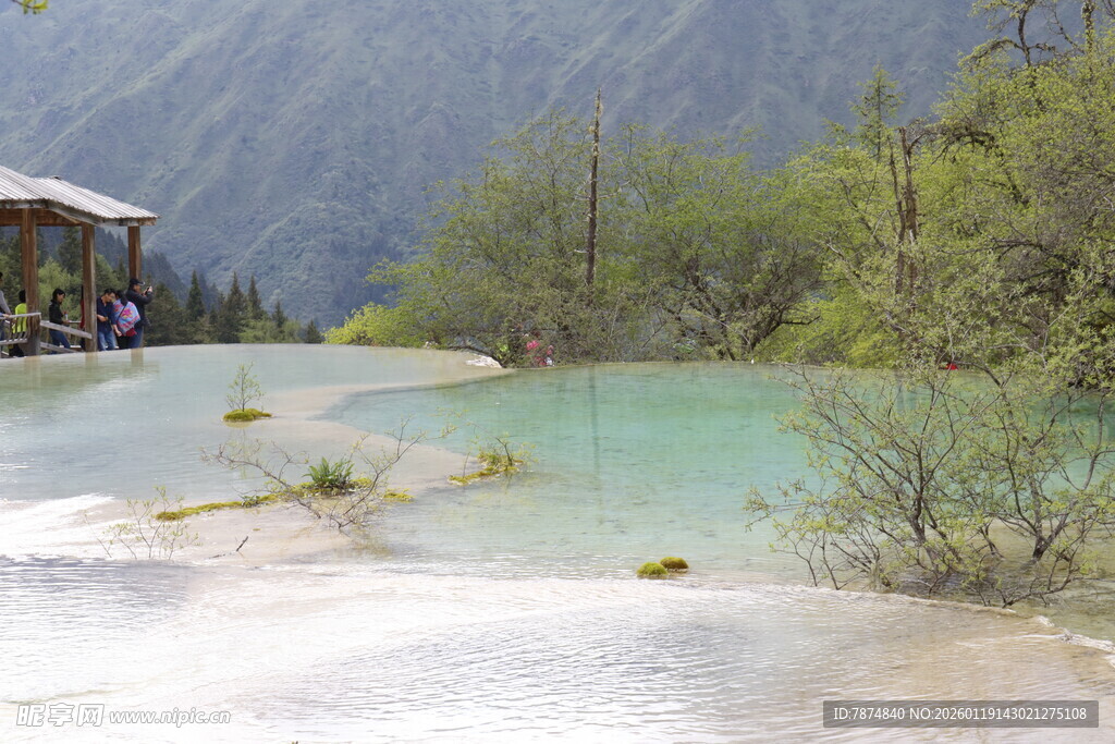 山间碧绿水畔景致