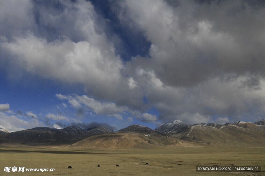 蓝天白云下的广袤荒原