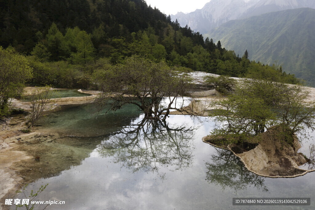 山间清潭 孤树静立