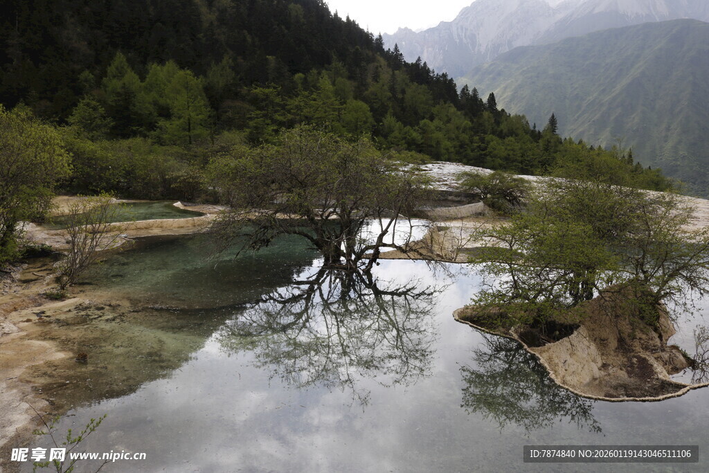 山间清澈溪流与繁茂植被