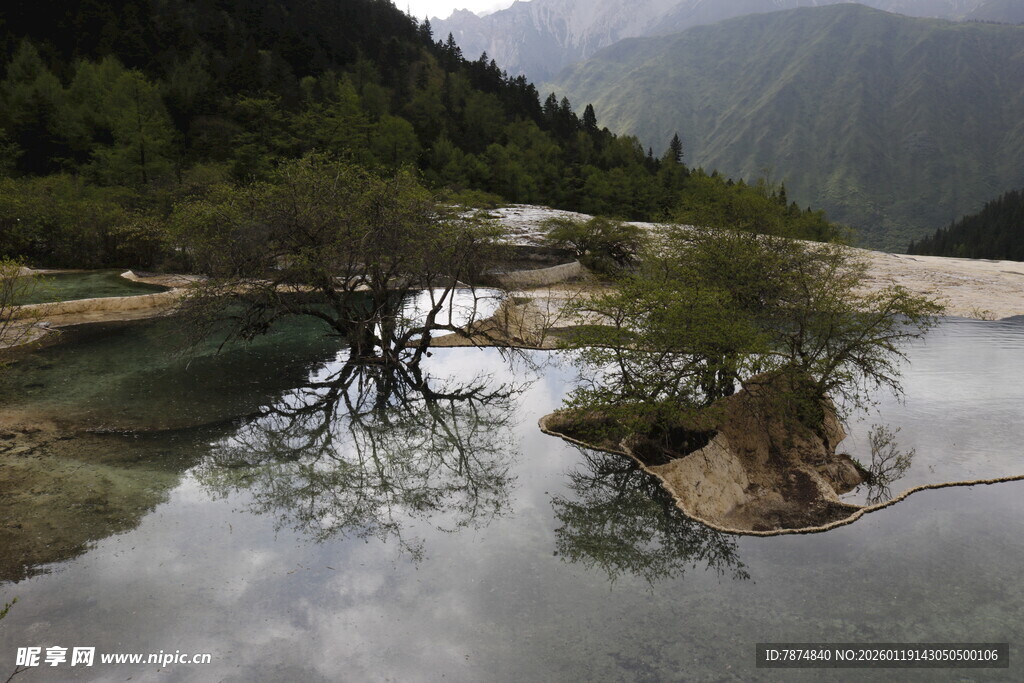 山间清潭孤树自然美景