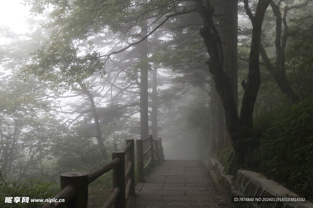 雾中林间木栈道