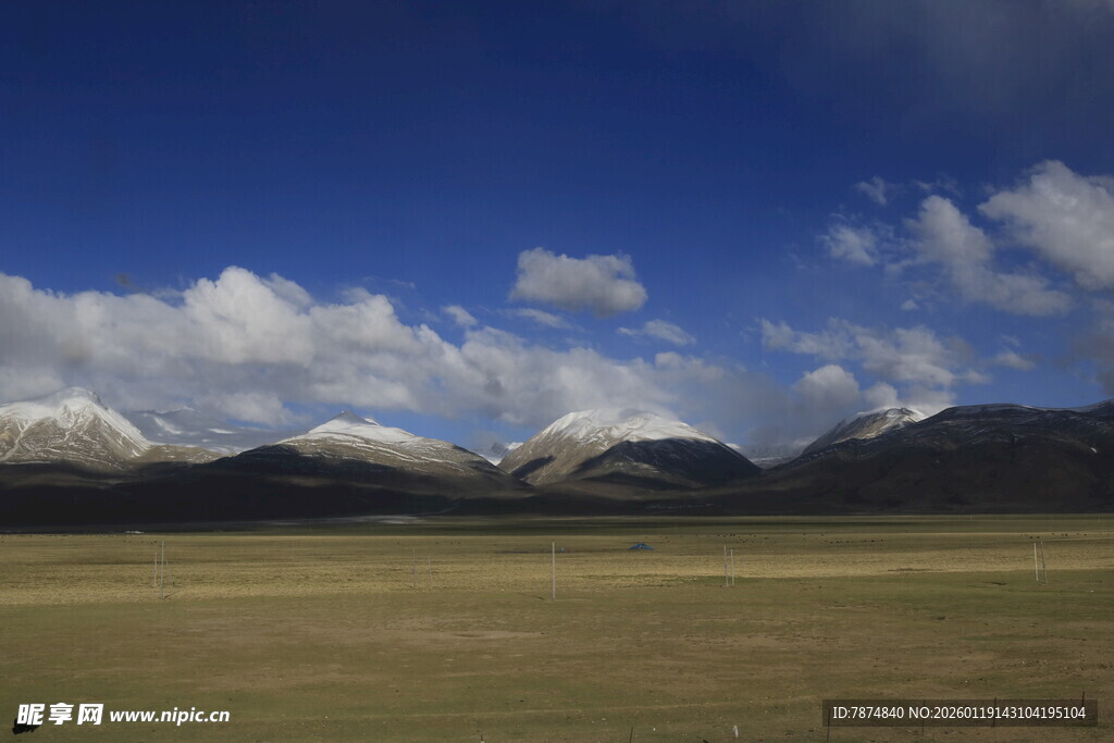 辽阔草原与远处雪山美景