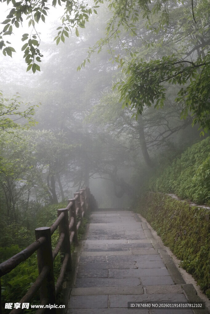 雾中木栈道 静谧山林景
