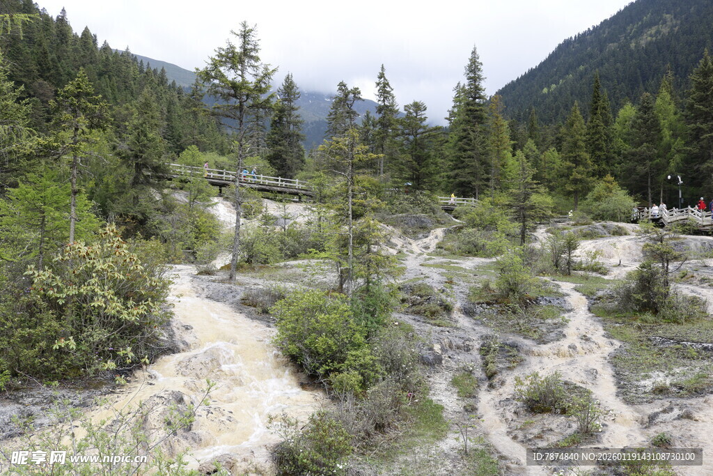 山间林地河流自然景观