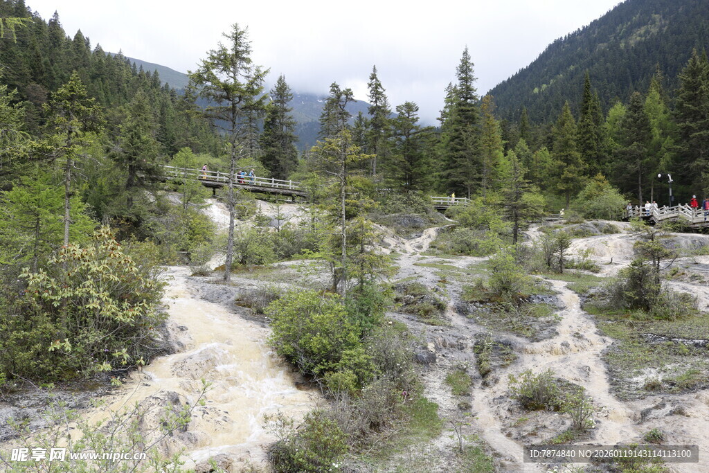 山间溪流旁的自然景致