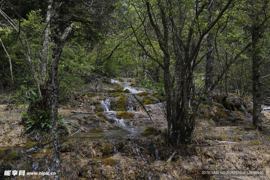 山林间的静谧溪流景色