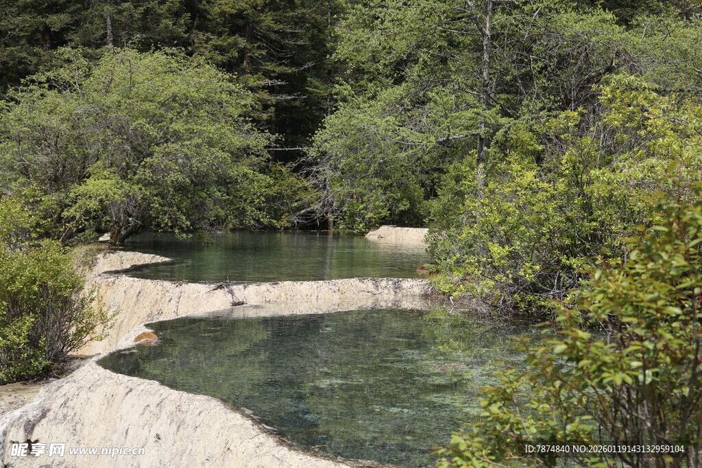 山间清澈溪流与葱郁植被