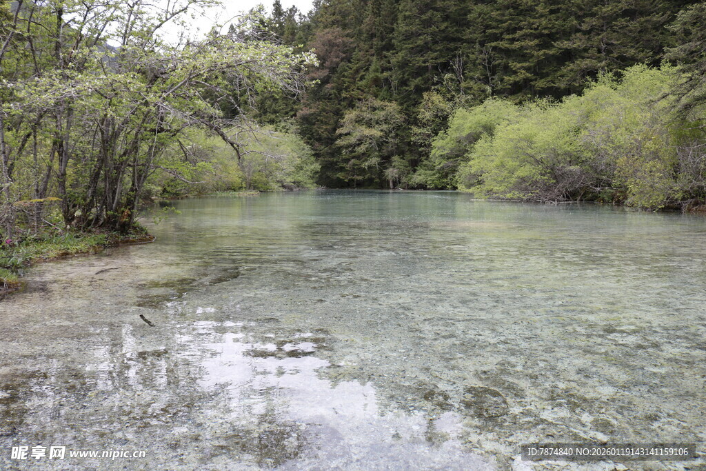 清澈河谷中的自然美景