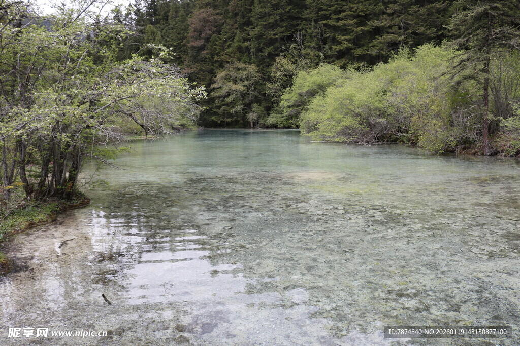 清澈山林间的幽美溪流