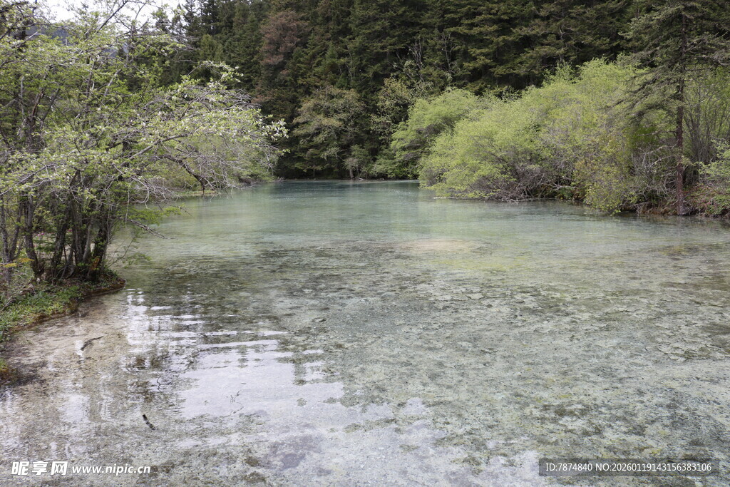 清澈山间溪流景色