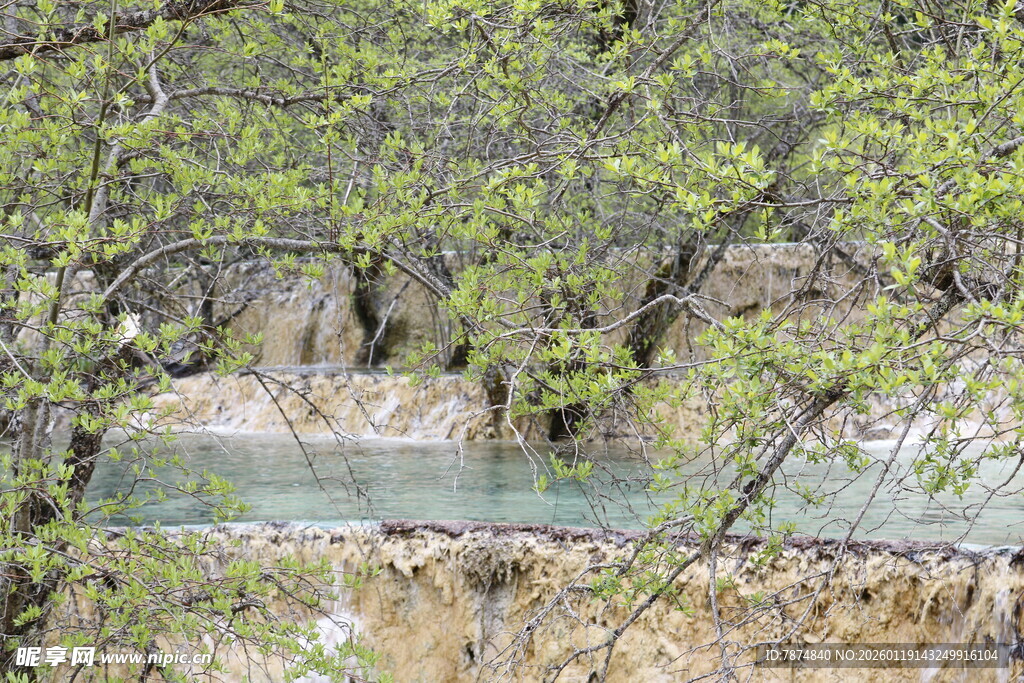 山间溪流伴新绿