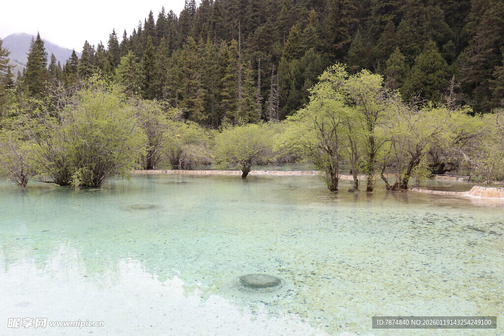 清澈山林间的幽美湖水