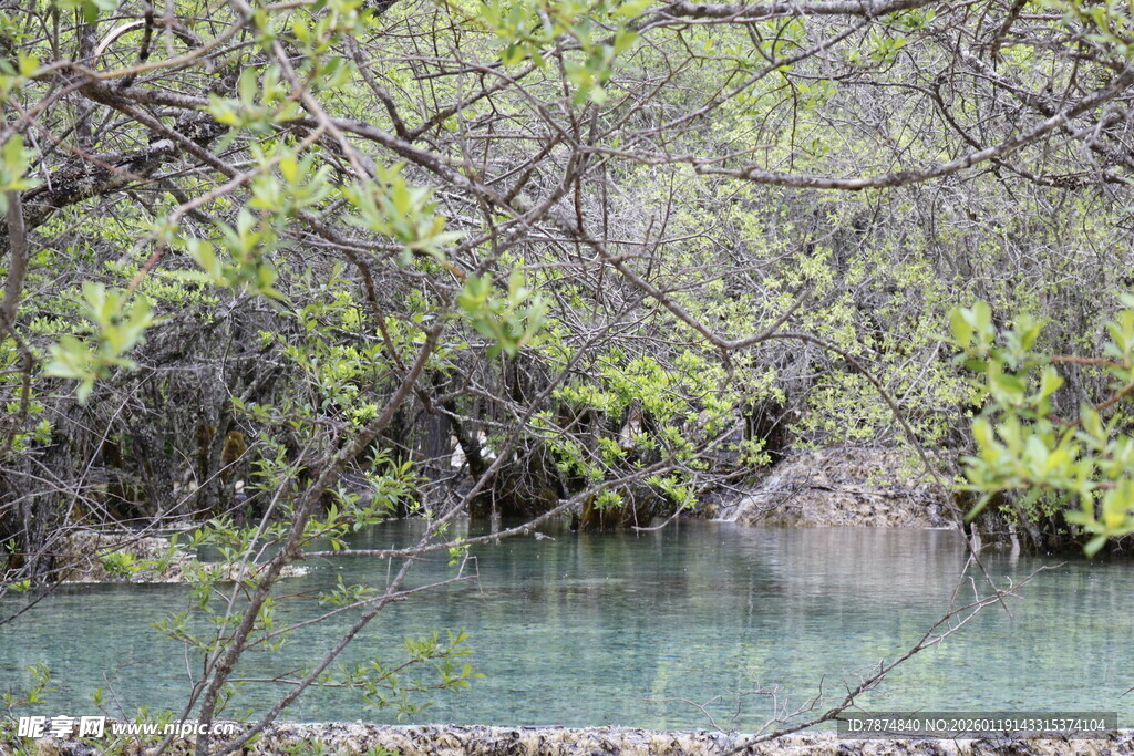 山林间的清澈幽潭