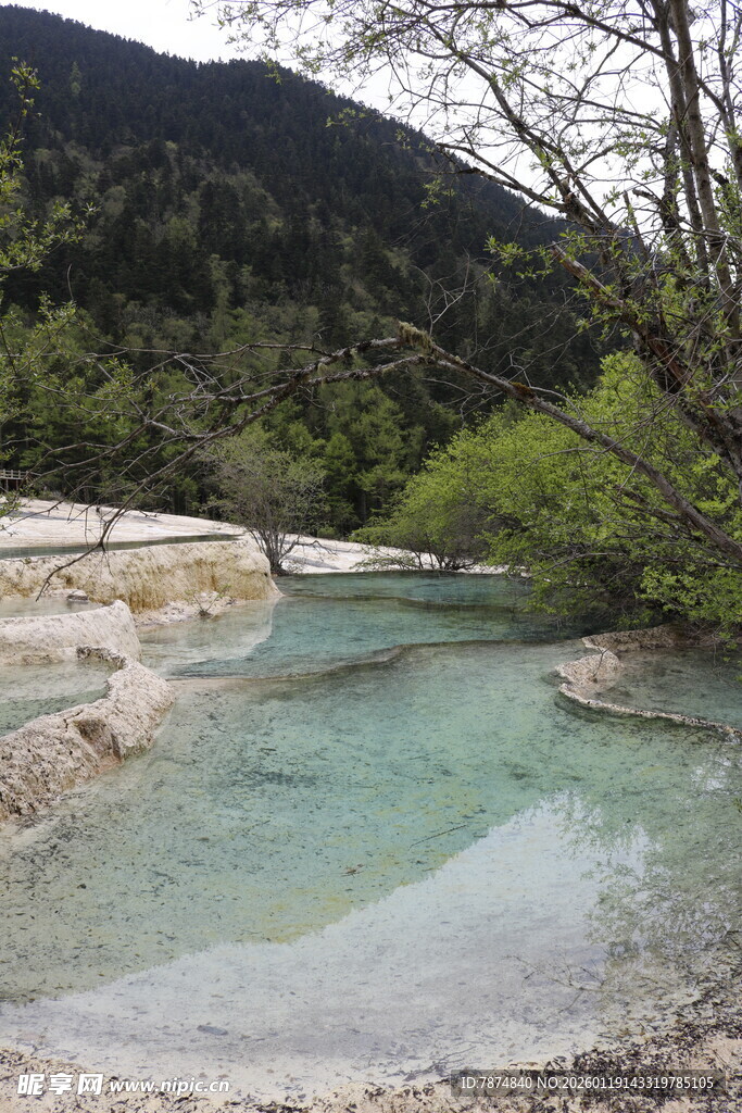 山间清澈溪流美景