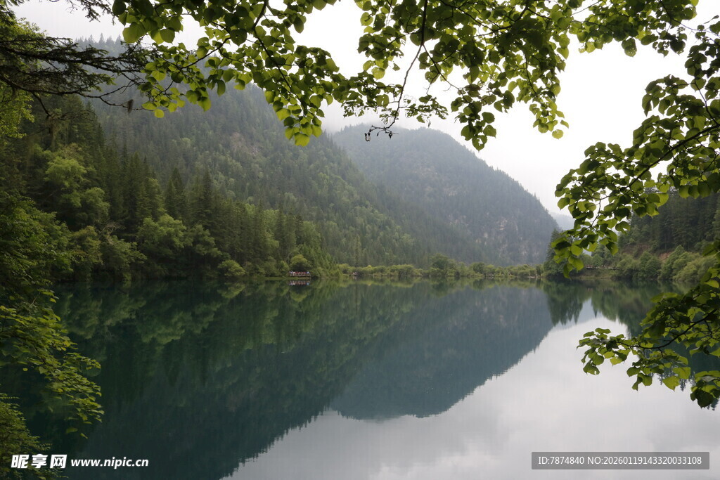 静谧山林中的清澈湖水