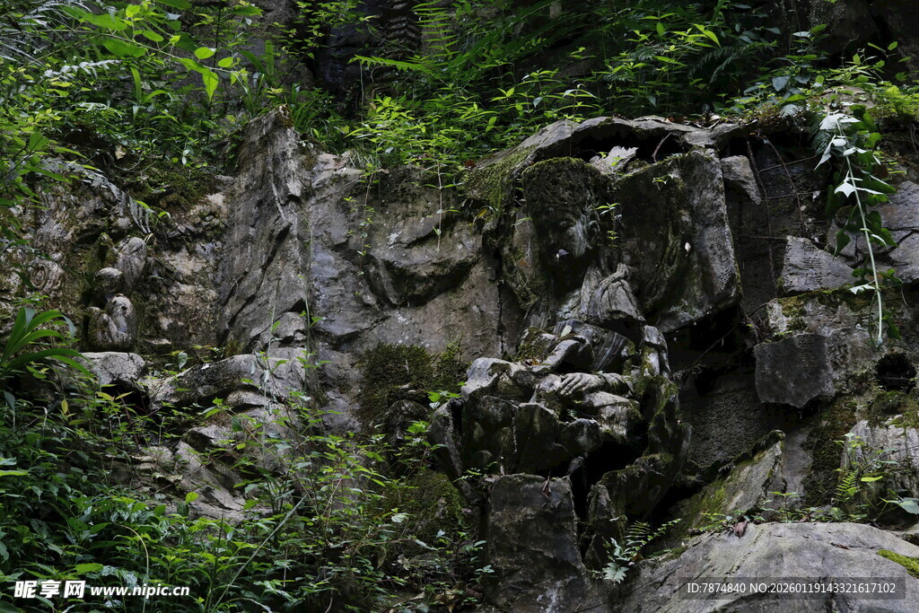 嶙峋山石与繁茂绿植景观