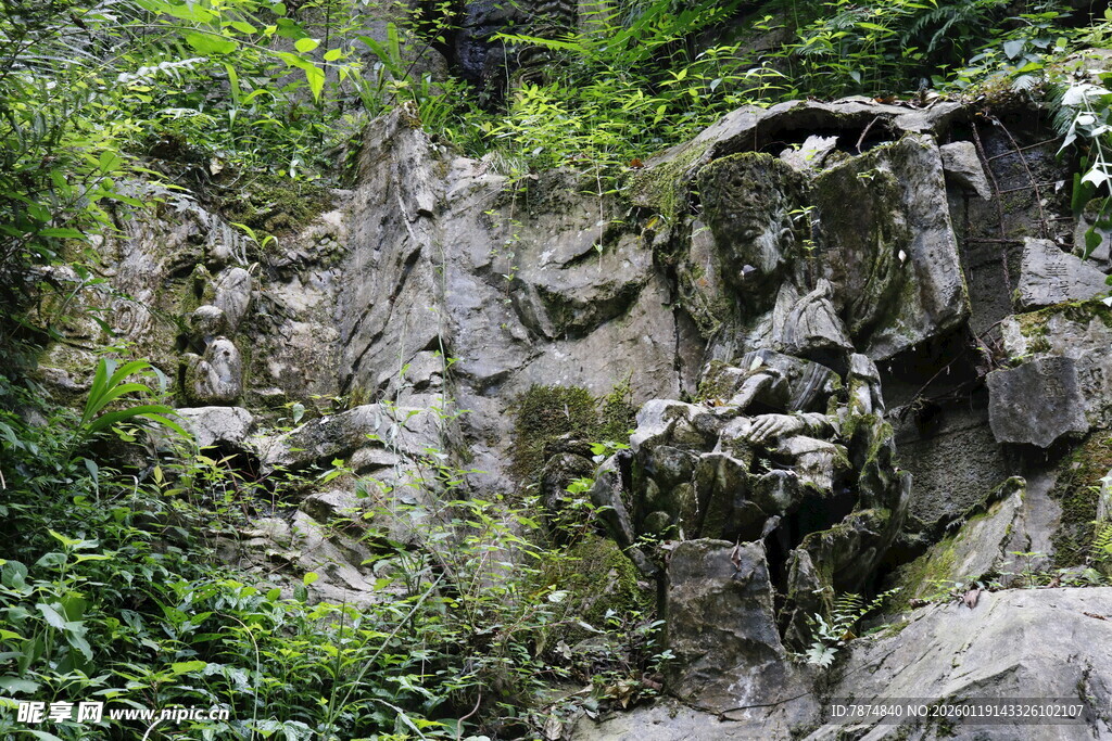 山间嶙峋岩石与繁茂绿植