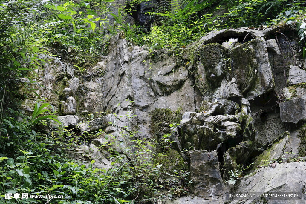 山间嶙峋岩石与繁茂植被
