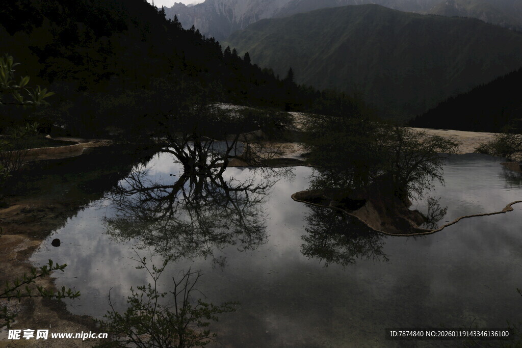 山间静谧水域与枯树景象