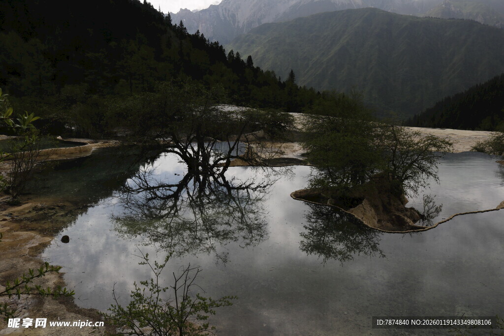 山间静谧水域枯树倒影