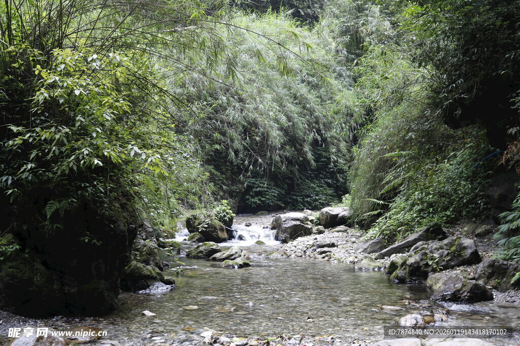 山间溪流 绿意盎然之景