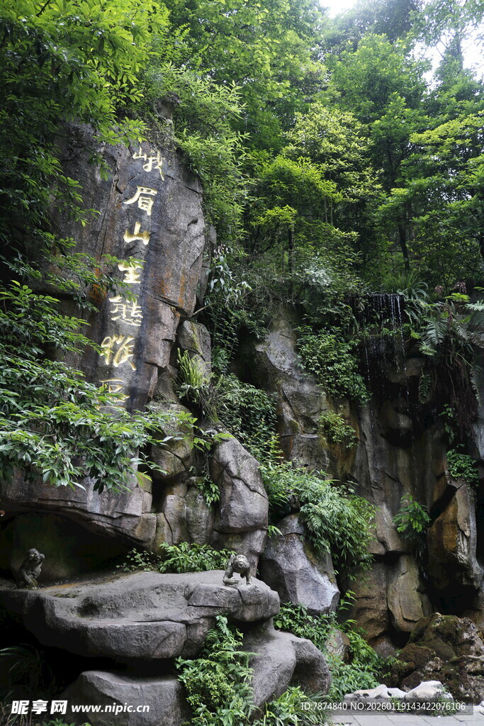 山林间的嶙峋怪石与绿植