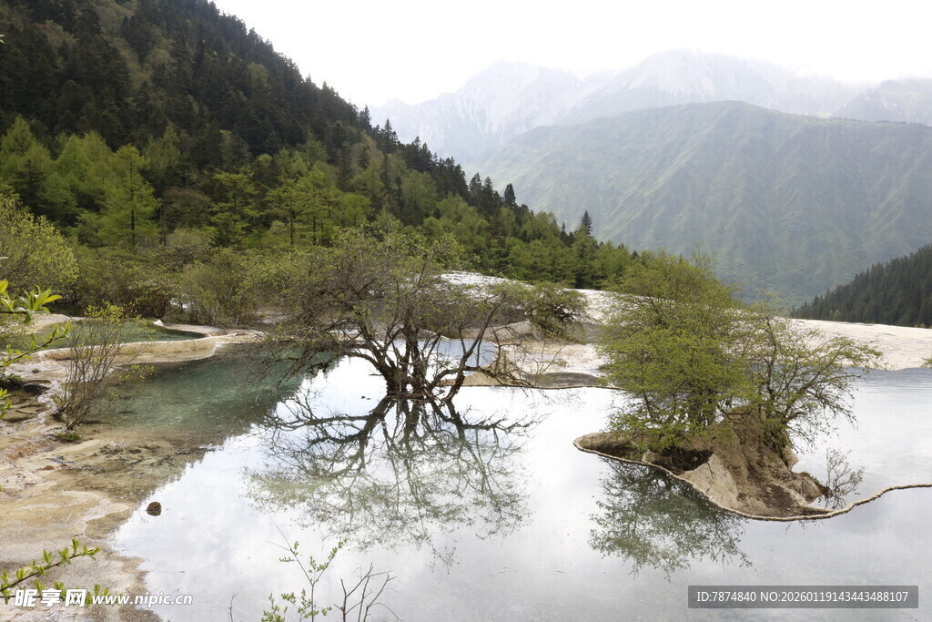 山间水潭枯树独特景致