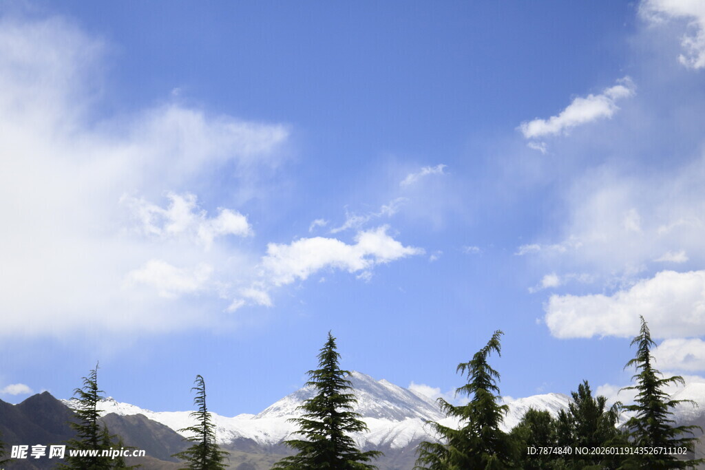 雪山松林与蓝天美景
