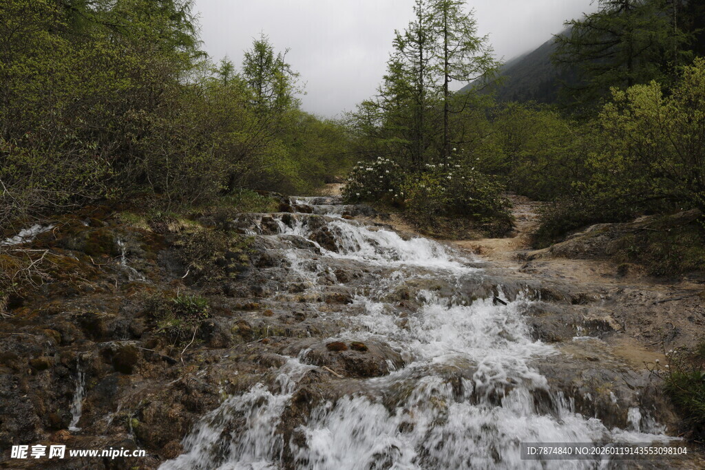 山间溪流潺潺流淌