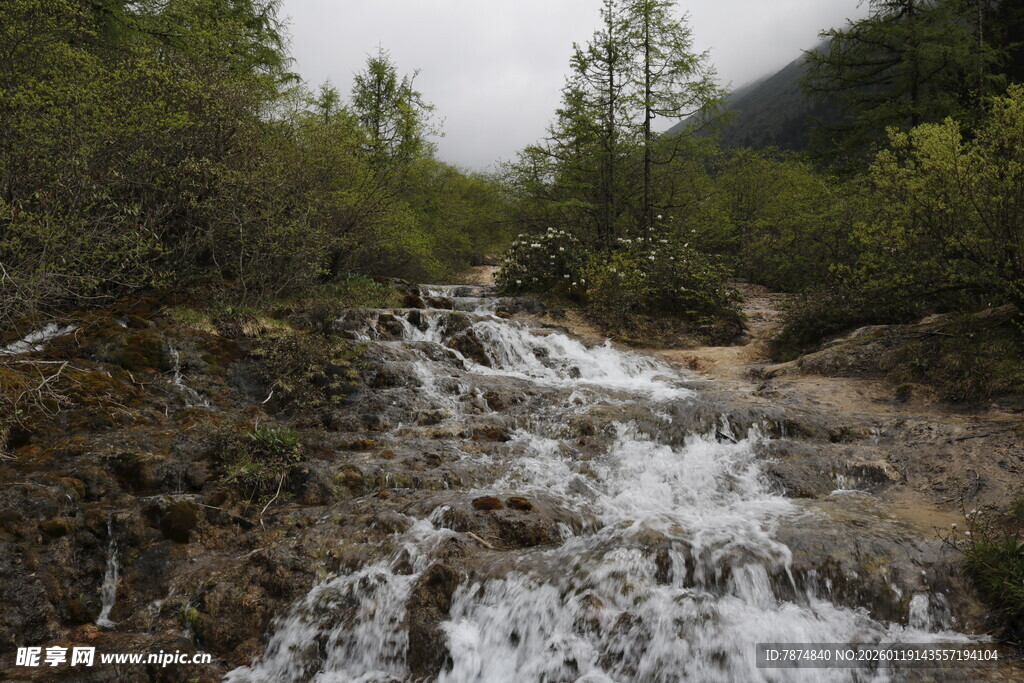 山间溪流潺潺流淌