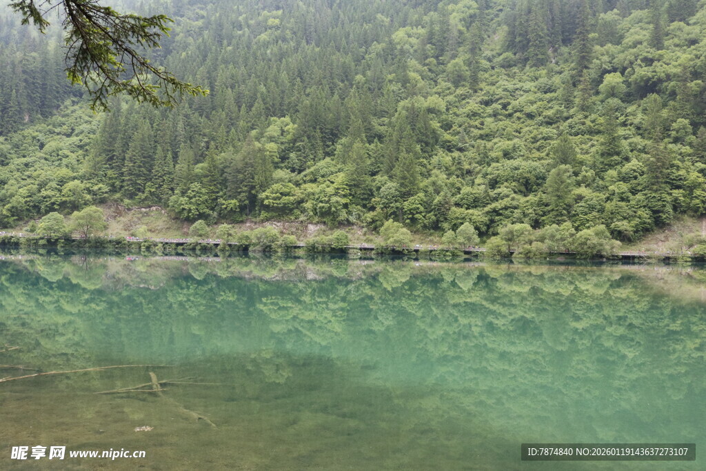 翠绿山林环绕的清澈湖水