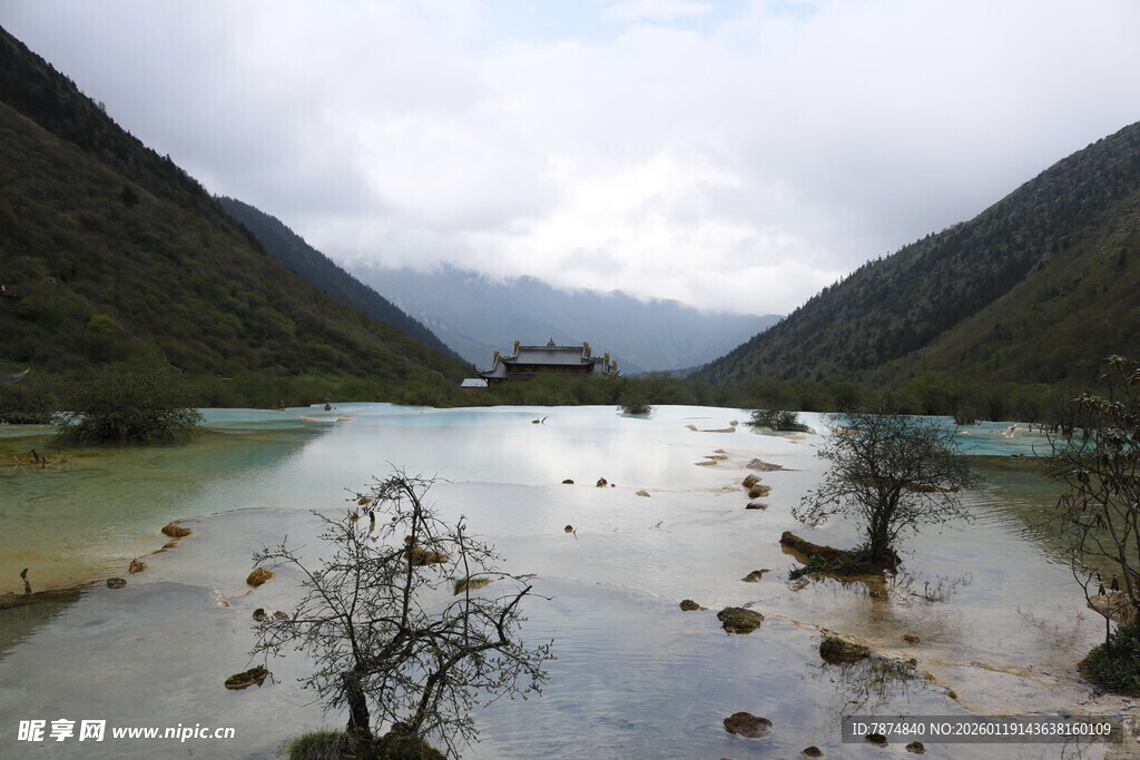 山间湖泊枯树独特景致