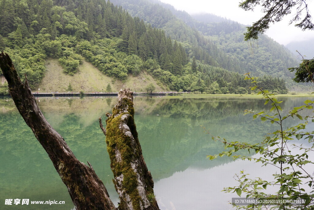 山林间的静谧湖水美景