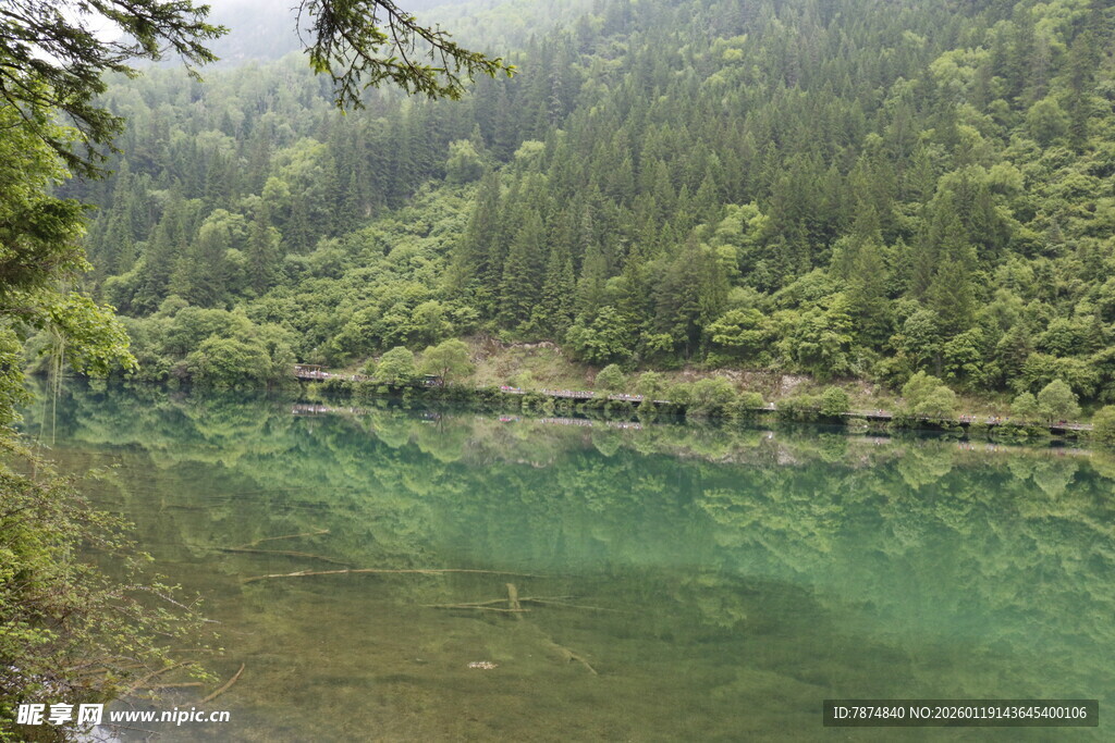 翠绿山林间的清澈湖泊