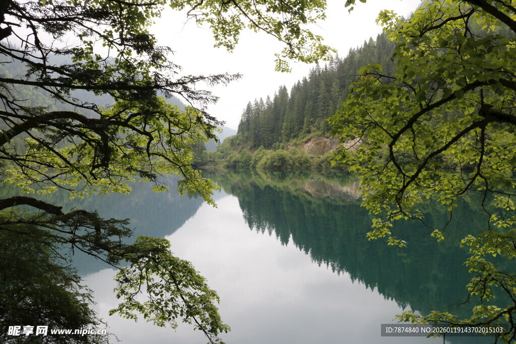 湖畔绿荫下的静谧山水景