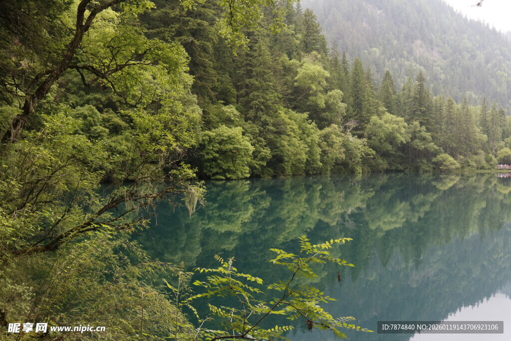清幽山林间的碧绿湖水
