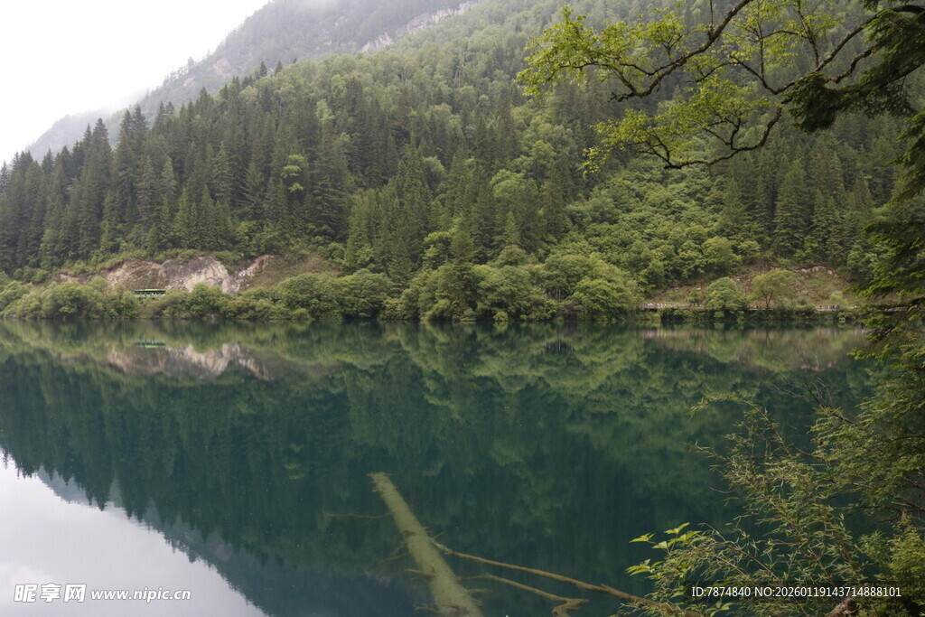 静谧山林中的清澈湖水