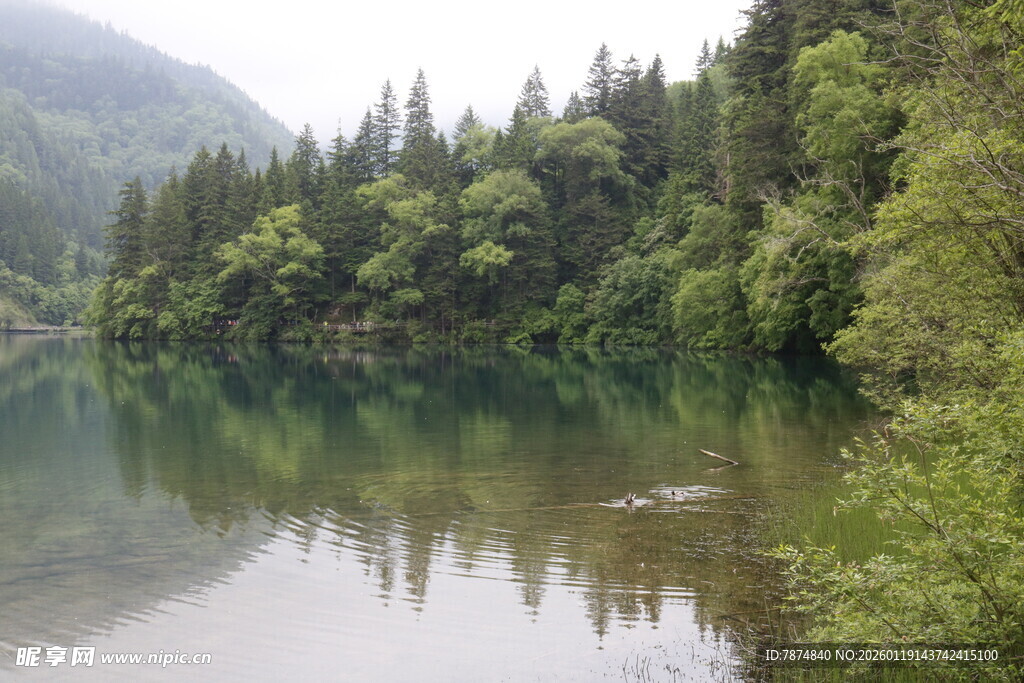 宁静山林间的清澈湖水