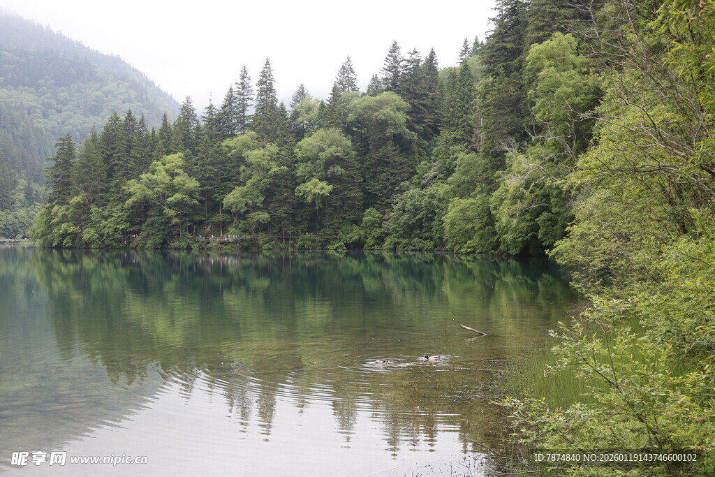 宁静山林旁的清澈湖水