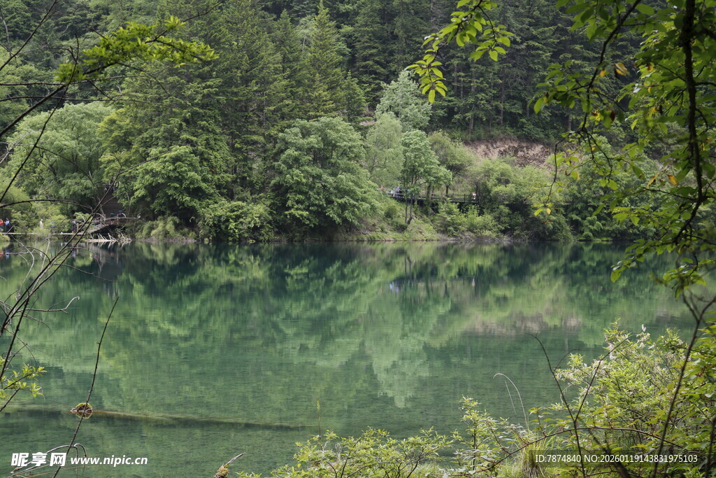宁静绿湖 岸边葱郁景致
