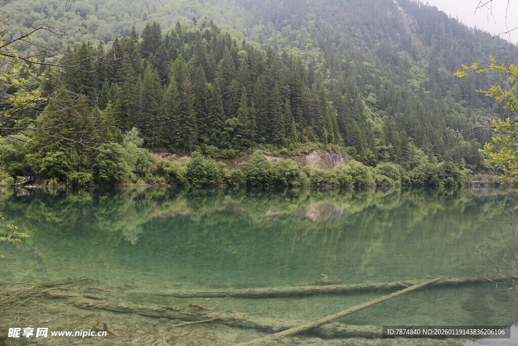 山间清澈湖水与葱郁林木