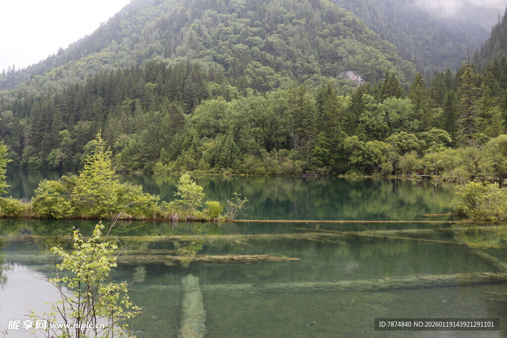 山间幽湖 绿意盎然的美景