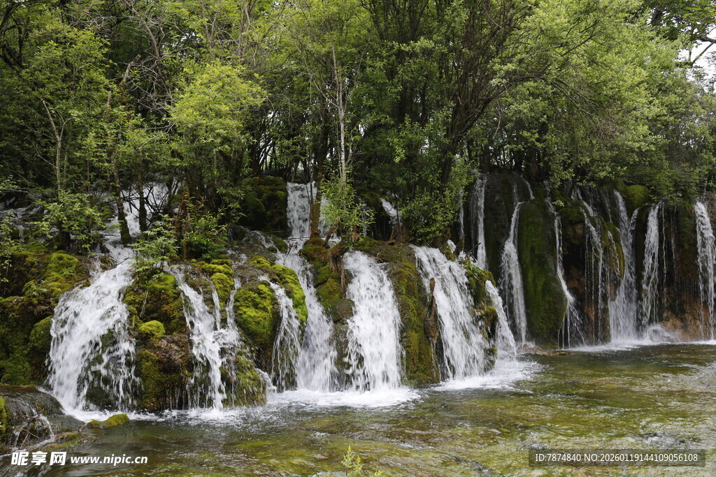 森林中的秀丽瀑布景观